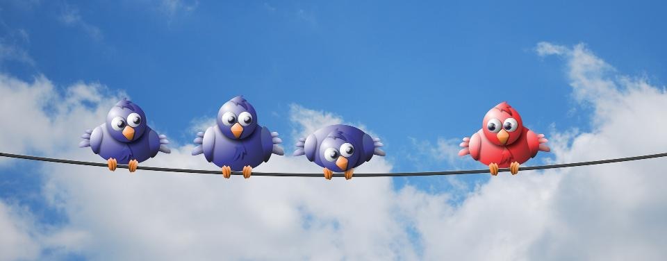 Illustration av fyra fåglar som försöker hålla avstånd från varandra.